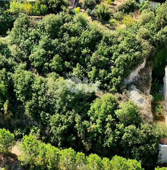 RWB400EA - Land for sale in Halat Jbeil 2