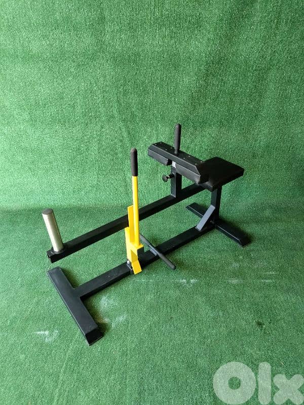 New Seated Calves 0