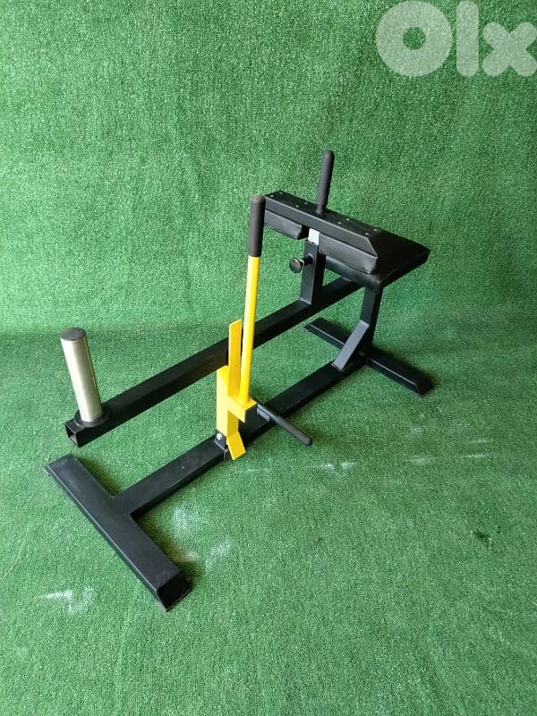 New Seated Calves 1