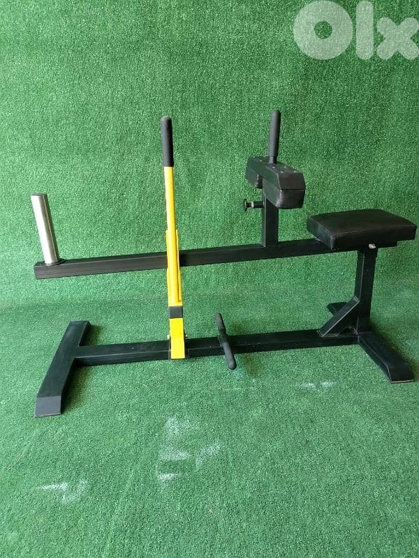New Seated Calves 2