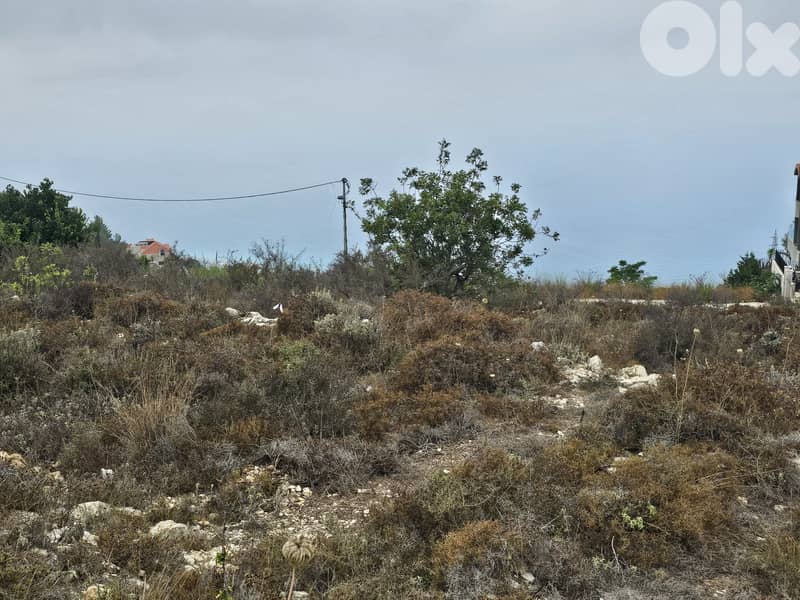 RWB404EA - Land for sale in Halat Jbeil 3