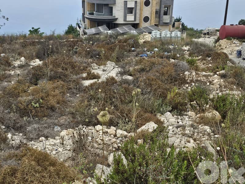 RWB404EA - Land for sale in Halat Jbeil 4