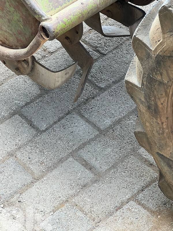 Agria made in Italy (cherke lebneniye) 2