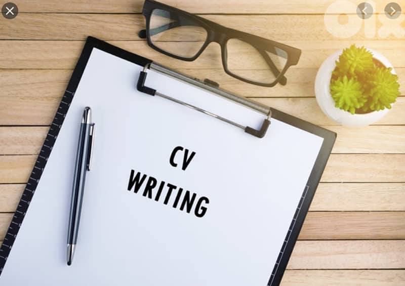 Professional CV Writer 0