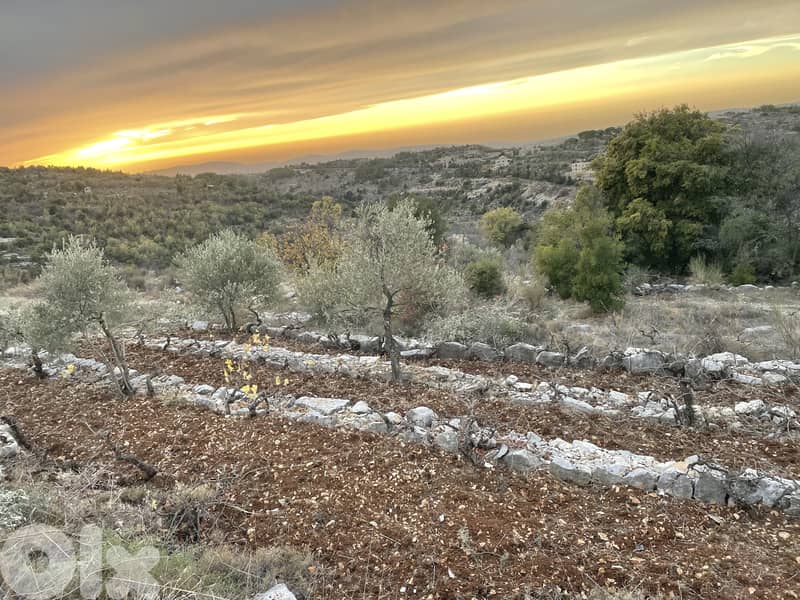 Maaser Al Chouf Stunning Land for Sale ارض للبيع معاصر الشوف 0