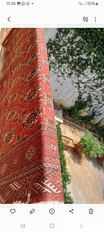 Iranian carpet hand made  boukhara yammoutt 1