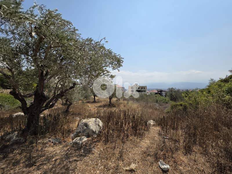 RWB168CC - Land for sale in Barsa - Koura 0