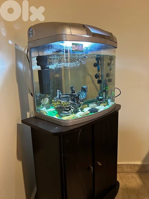 aquarium for sale 1