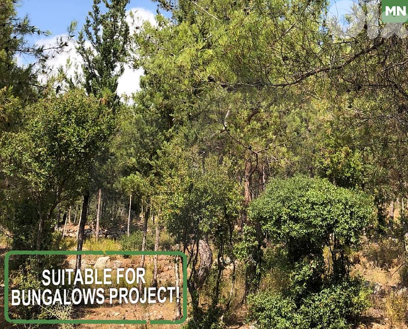 For Rent | Agricultural Land in Mazraaet Al Tefeh  REF#MN124424 0