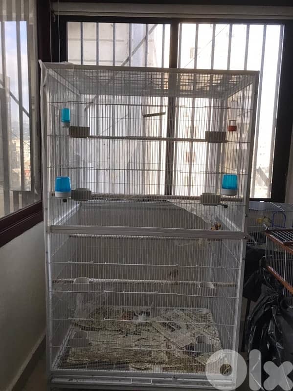 bird cage 0