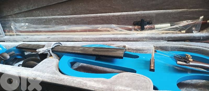electric violin 2