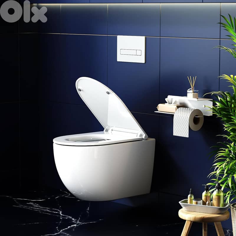 Chroma Wall-Hung Toilet Bowl 0