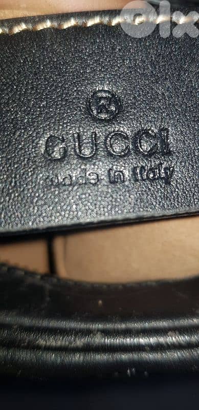 cucci 6