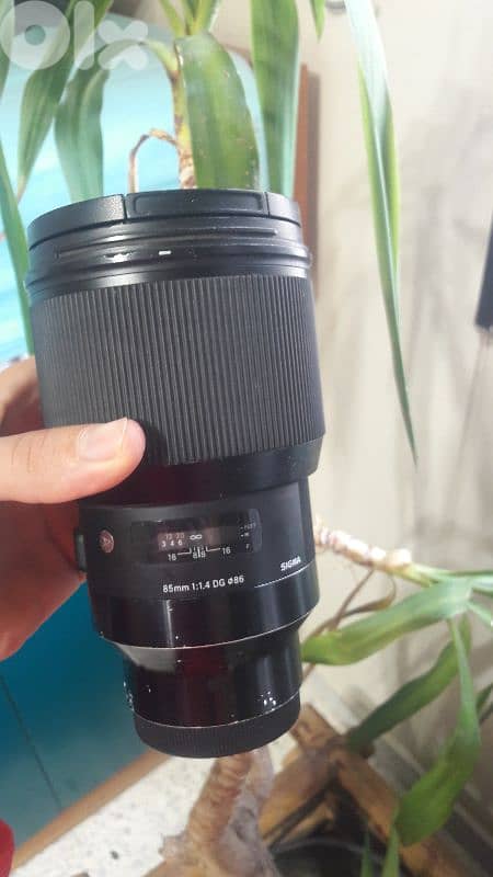 Sony A7III + 3 Prime Sigma Art Lenses 0