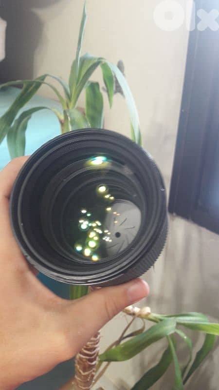 Sony A7III + 3 Prime Sigma Art Lenses 5