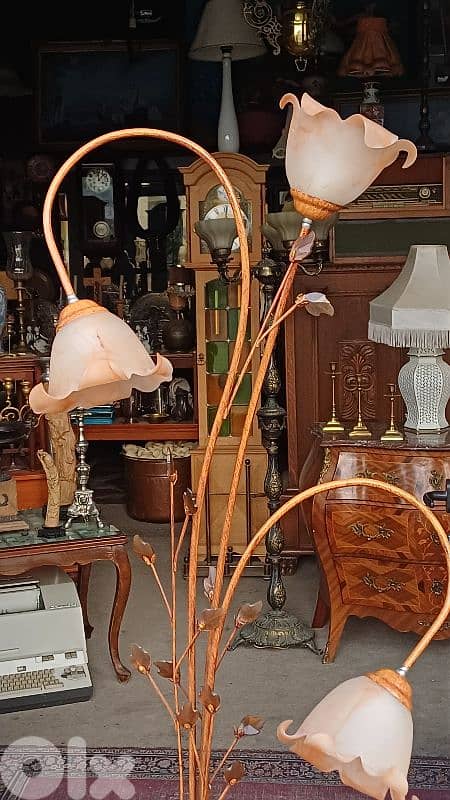 antique 7