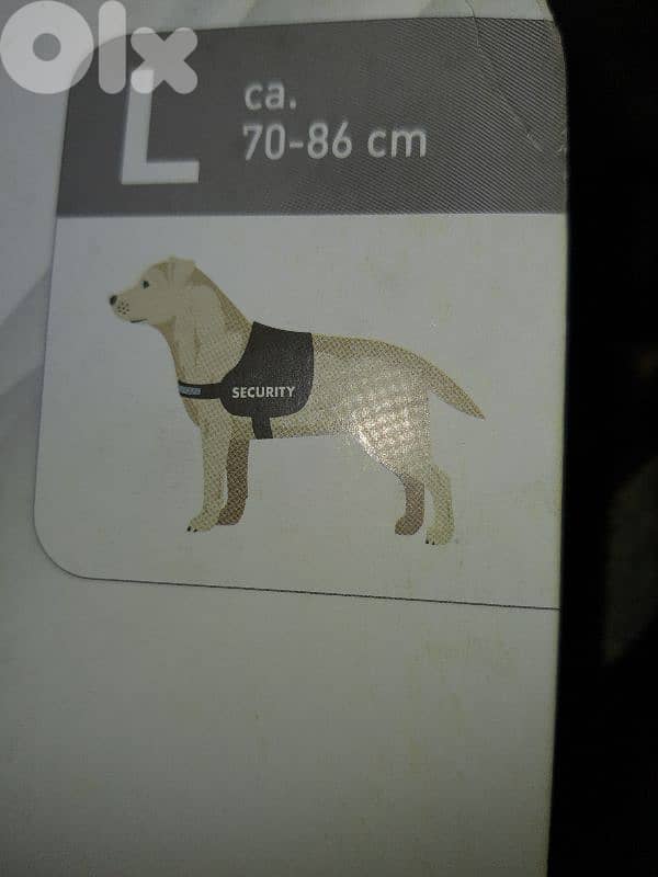 Zoofari dog Harness germany 5