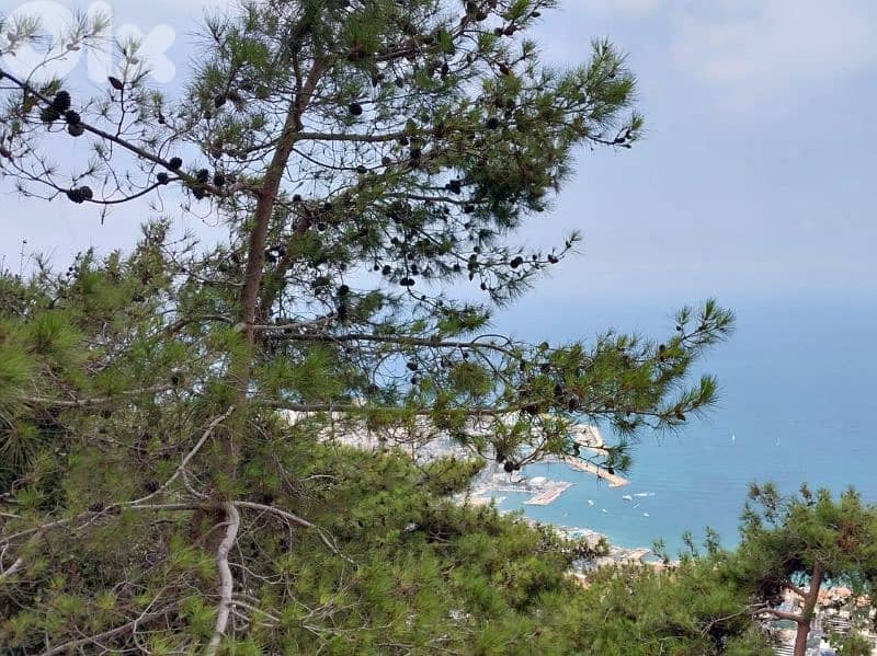 910 sqm Land for Sale on Harissa Highway FULL VIEW 0