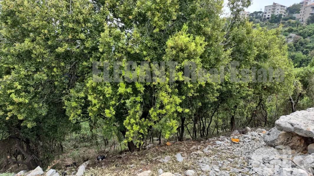 Land for Sale | Sea view | Mhaydse 1