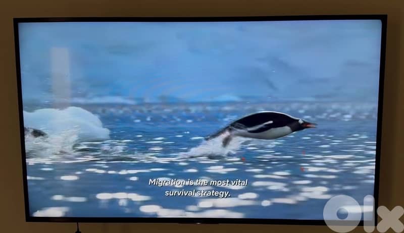 Sony Bravia 55” 4K Smart Android TV (X75H Series) + Receiver 1