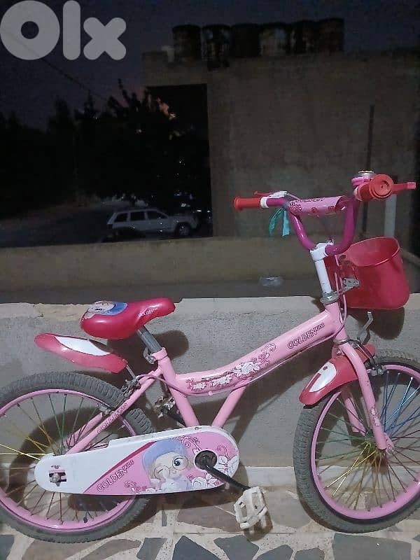 bicycle  for girls 0