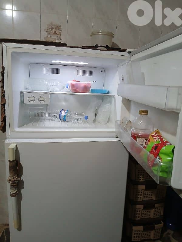 freezer  tecno naf 1
