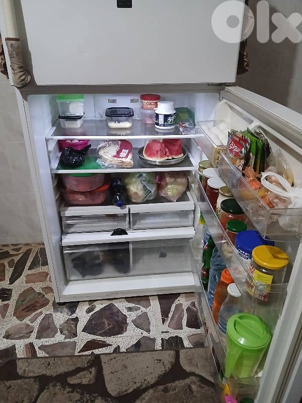 freezer  tecno naf 2