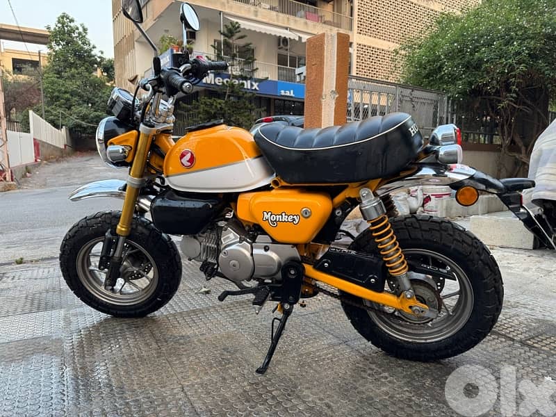 Honda Monkey, 1000km 1