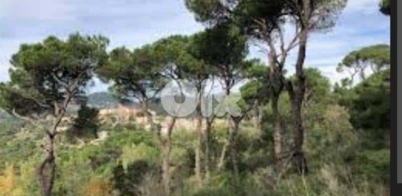 Panoramic View l 8000 SQM Land in Bmouhray. 0