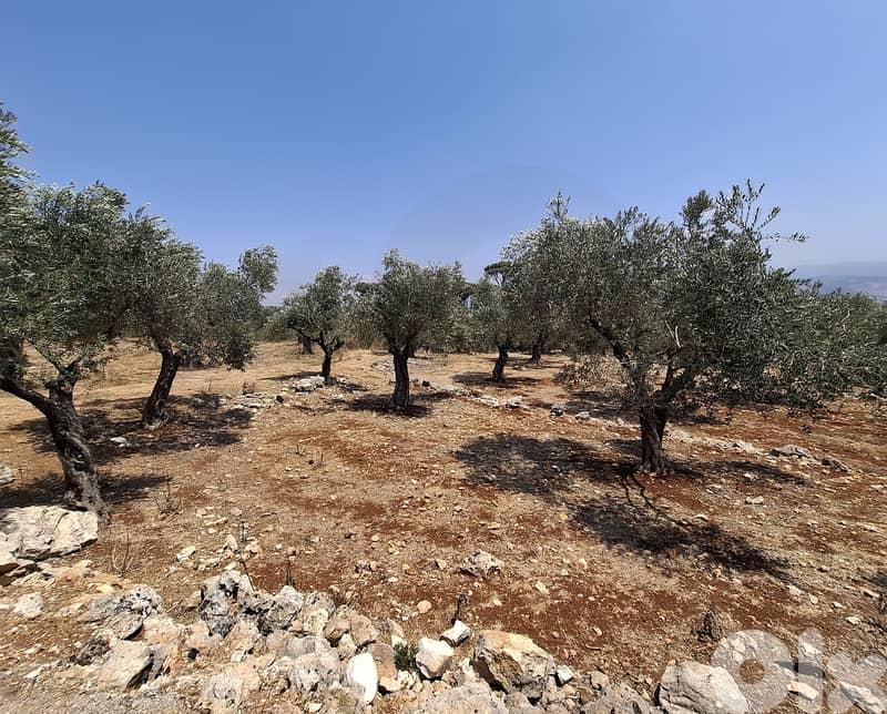 For Sale | Agricultural Land in Bechmezzine, Koura REF#MN124663 1