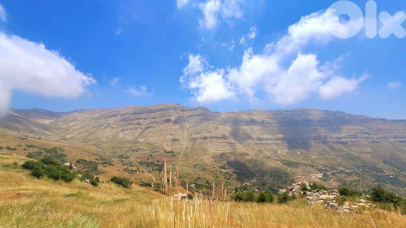Land for sale in  Tannourine أرض للبيع في تنورين 11
