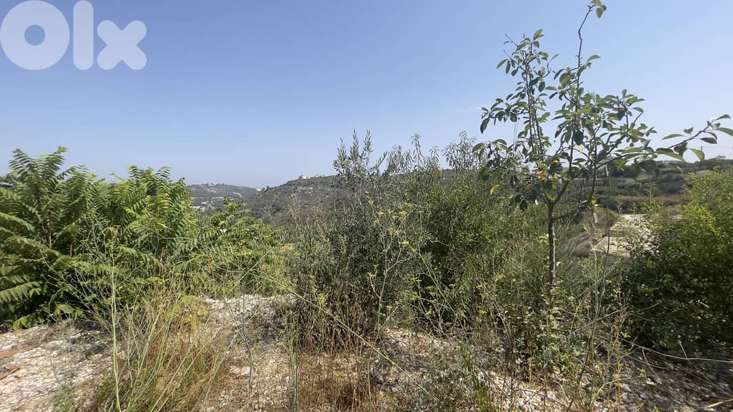 RWB271CA - Land for sale in Abdelleh Batroun 4
