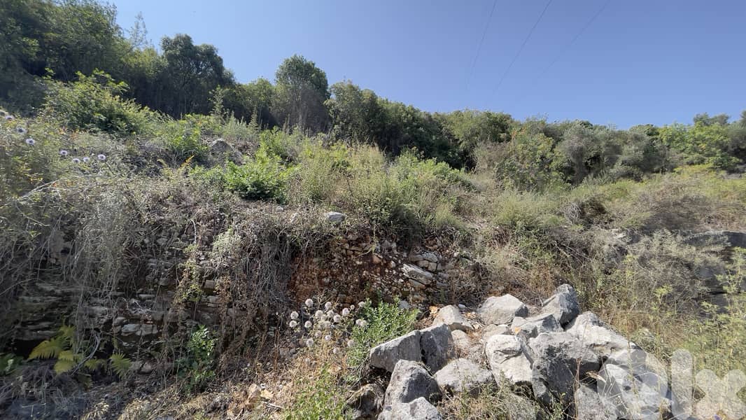 RWB272CA - Land for sale in Kfifane Batroun 6