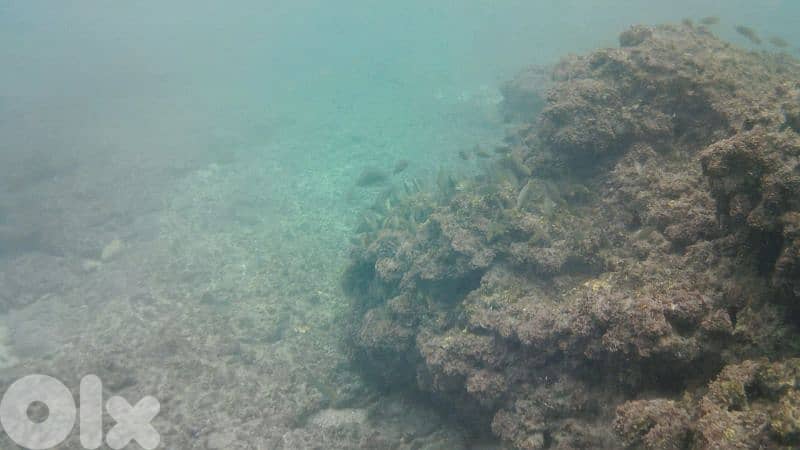 *Used* COOAU Action Camera 2