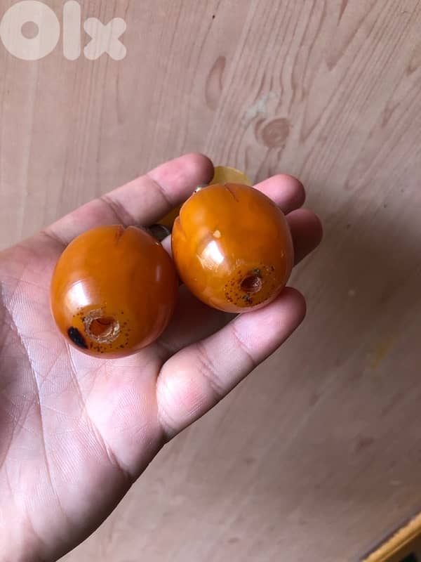 مسكات كوربا الماني معراق قديم عمرون اكثر من 120 عام 7