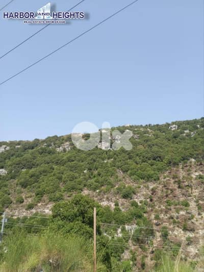 Plot for sale in Alali Batroun ارض للبيع في العلالي بترون