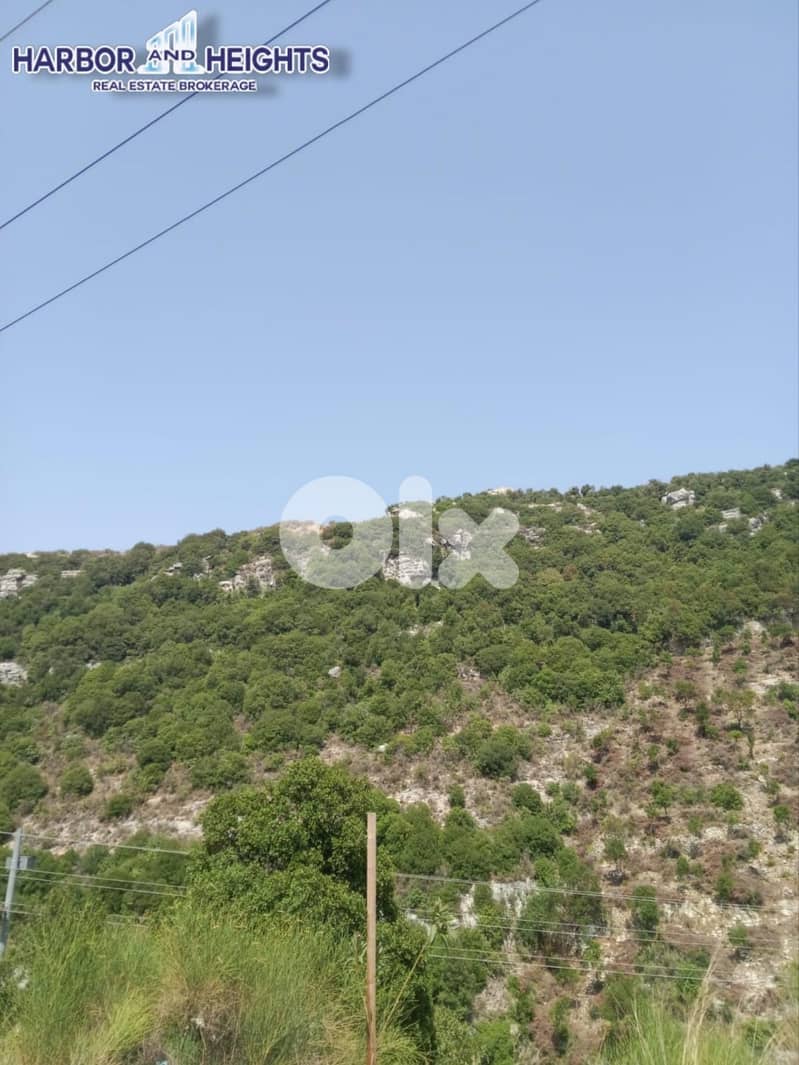 Plot for sale in Alali Batroun ارض للبيع في العلالي بترون 0