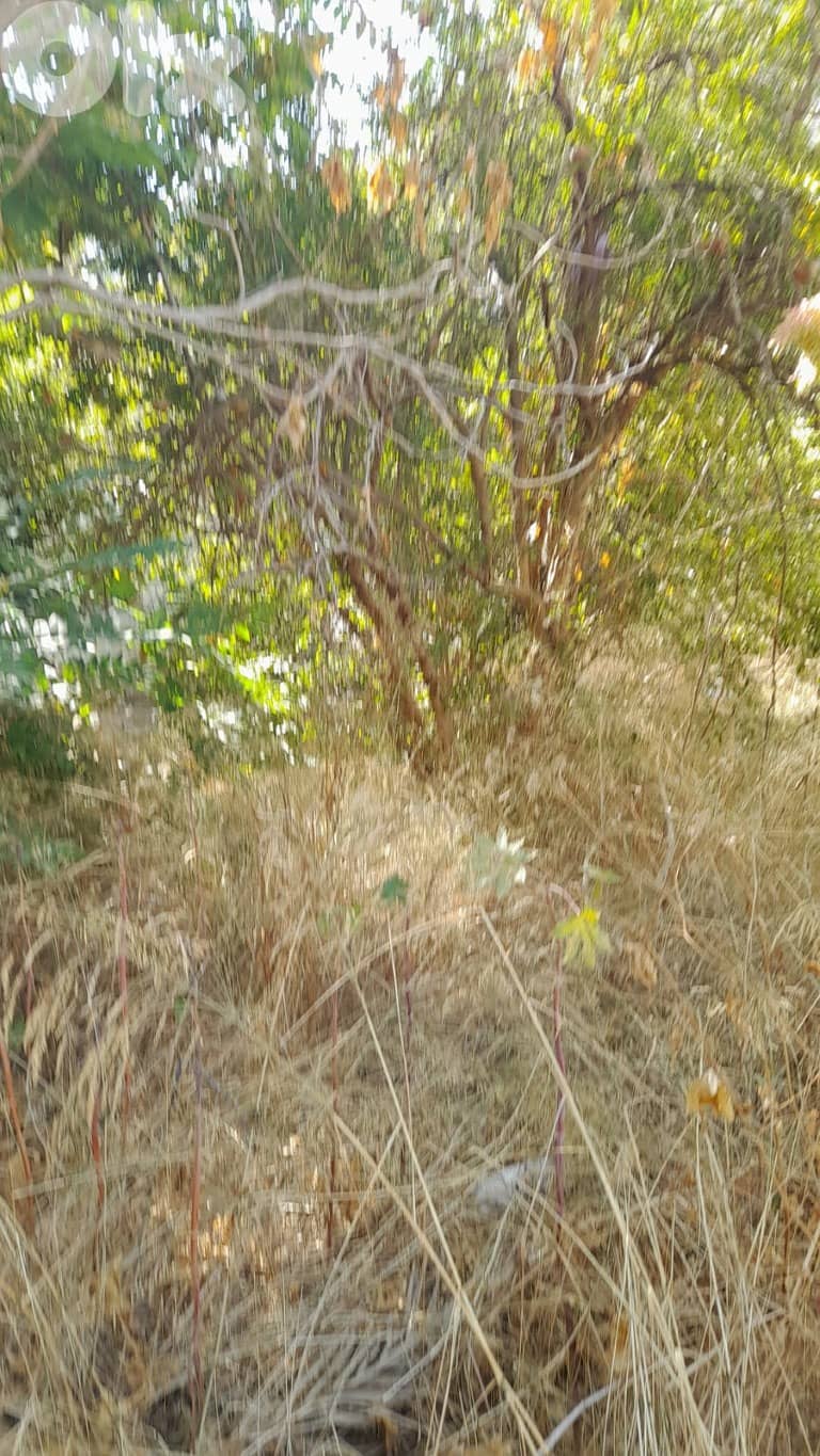 أرض للبيع في الحدث Land for sale in Hadath 1