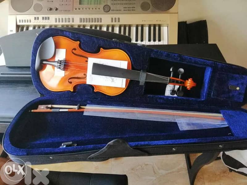 violin with all accessories best quality 0