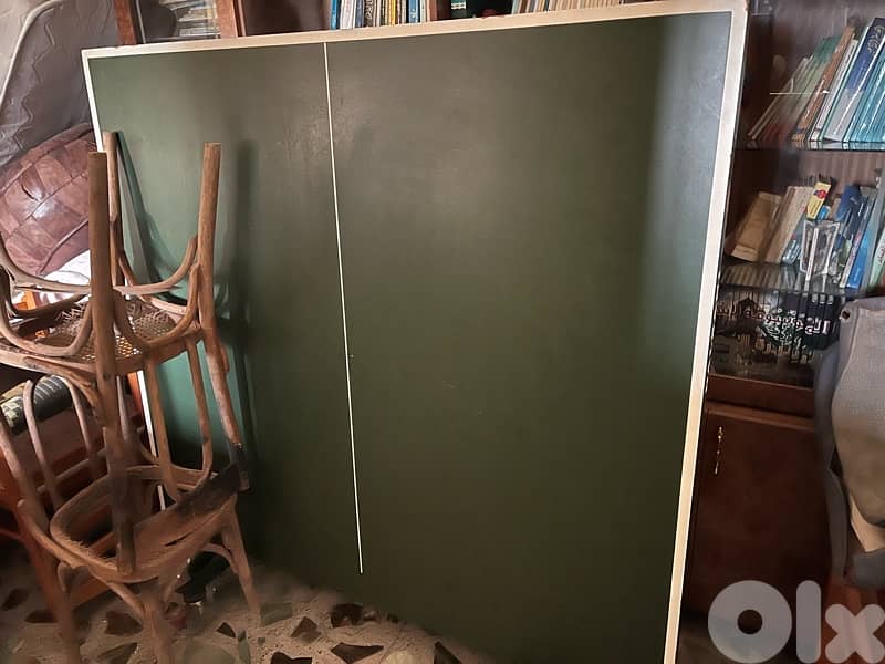 ping pong table 2