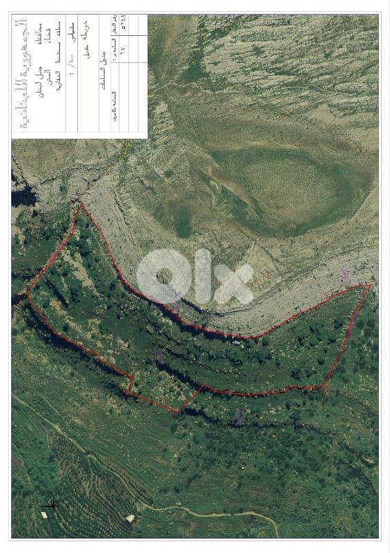 Land for sale Bakish 1
