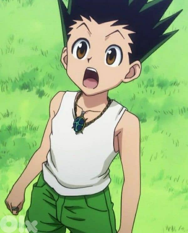 Hunter X Hunter Knight's Necklade 1