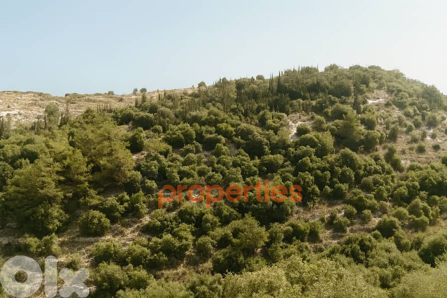 Land For Sale In Safra - CPKCC42 0