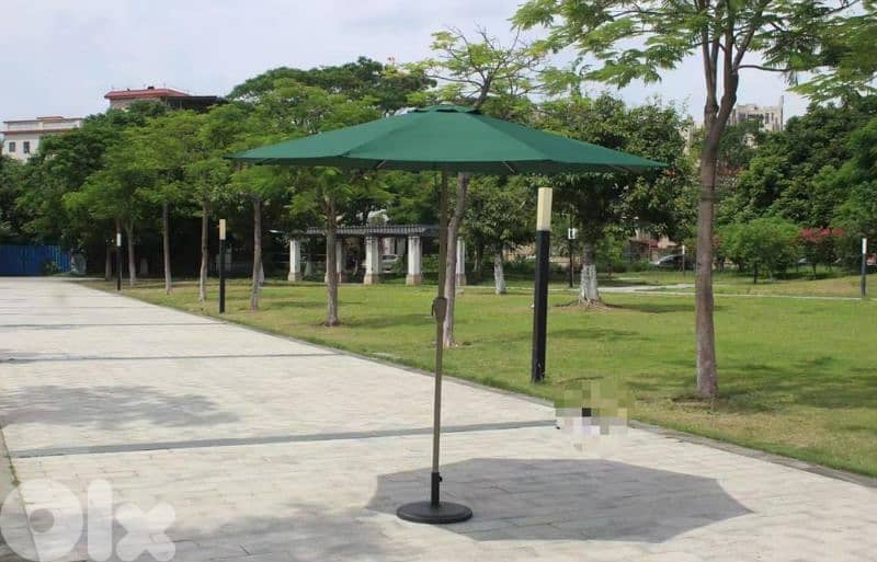 Malaysian umbrella 0