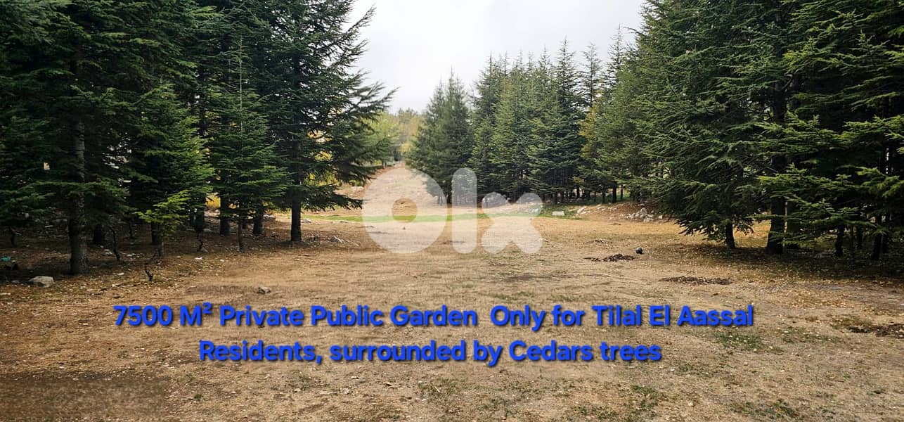Chalet for sale in Tilal Al Assal/ Garden/ View 14