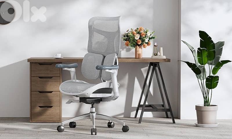 SIHOO Doro S100 Ergonomic Office Chair 0