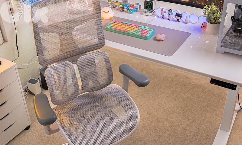 SIHOO Doro S100 Ergonomic Office Chair 1