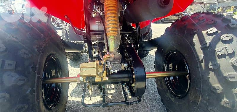 Magnum Mistral Sport 150cc 2024 Brand new 11