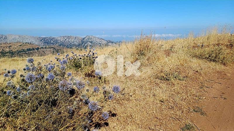 lands for sale in tannourine "تنورين "التلاجة 0