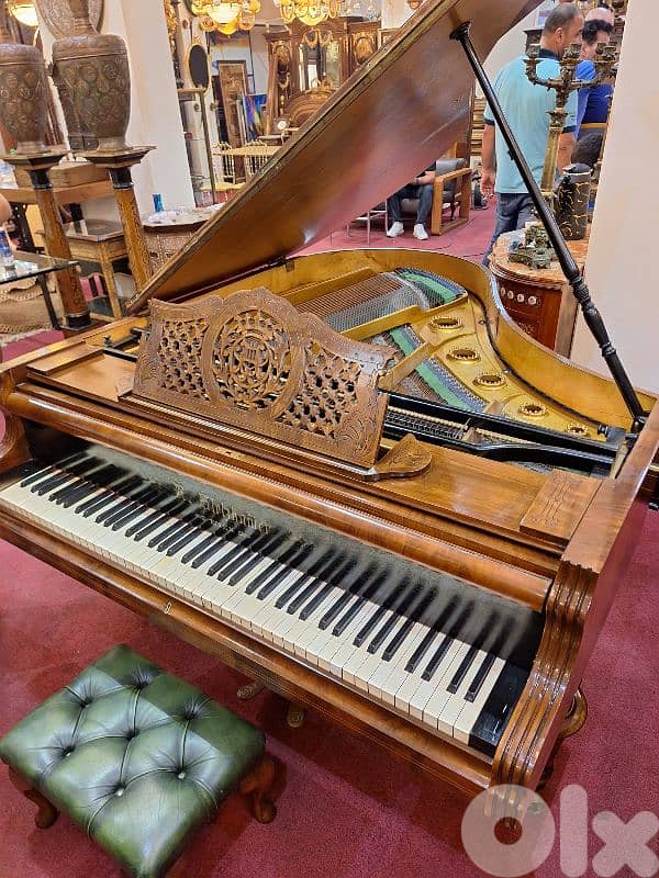 piano baby grand by Vienna tuning warranty 2